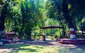 Туры в отель Treebo Premium Mowgli's Den Pench Tiger Reserve