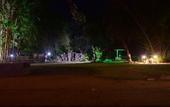 Туры в отель Treebo Premium Mowgli's Den Pench Tiger Reserve