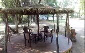 Туры в отель Treebo Premium Mowgli's Den Pench Tiger Reserve
