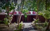 Туры в отель Treebo Premium Mowgli's Den Pench Tiger Reserve