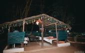 Туры в отель Treebo Premium Mowgli's Den Pench Tiger Reserve