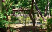 Туры в отель Treebo Premium Mowgli's Den Pench Tiger Reserve
