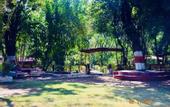Туры в отель Treebo Premium Mowgli's Den Pench Tiger Reserve