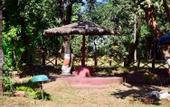 Туры в отель Treebo Premium Mowgli's Den Pench Tiger Reserve