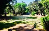 Туры в отель Treebo Premium Mowgli's Den Pench Tiger Reserve
