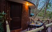 Туры в отель Treebo Premium Mowgli's Den Pench Tiger Reserve
