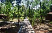 Туры в отель Treebo Premium Mowgli's Den Pench Tiger Reserve