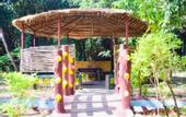 Туры в отель Treebo Premium Mowgli's Den Pench Tiger Reserve