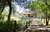 Туры в отель Treebo Premium Mowgli's Den Pench Tiger Reserve