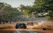 Туры в отель Treebo Premium Mowgli's Den Pench Tiger Reserve