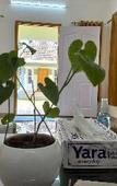Туры в отель Vajra Ayurveda and Yoga Retreat