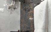 Туры в отель Shriji Hotel
