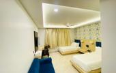 Туры в отель Hotel Holiday Grand Near Expo Mart