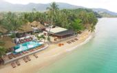 Туры в отель Mimosa Resort & Spa