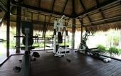 Туры в отель Mimosa Resort & Spa