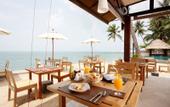 Туры в отель Mimosa Resort & Spa