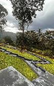 Туры в отель Viceroy Luxury Mountain Resort