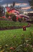 Туры в отель Willow hill by nature resorts & stays