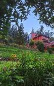 Туры в отель Willow hill by nature resorts & stays