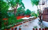 Туры в отель Ryewood Green By Avion Hotels