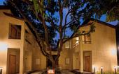 Туры в отель ABN Sarovar Portico Jim Corbett
