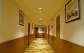Туры в отель Hotel Sakura Gold