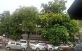 Туры в отель Del Fox Hotel New Delhi - Just a Minute Away From New Delhi Railway Station and Connaught Place