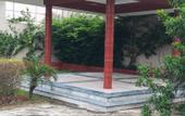Туры в отель The Taj Mughal Courtyard Homestay