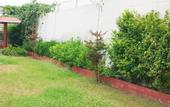 Туры в отель The Taj Mughal Courtyard Homestay