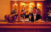 Туры в отель Minerva Premier Hotel