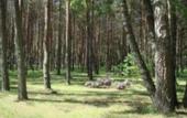 Туры в отель Minhauzena Unda