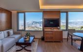 Туры в отель dusitD2, Fagu, Shimla