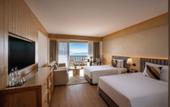 Туры в отель dusitD2, Fagu, Shimla