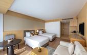Туры в отель dusitD2, Fagu, Shimla