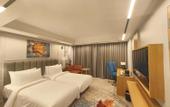 Туры в отель Ramada Encore By Wyndham Rajbagh Srinagar