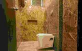 Туры в отель Gulmohar Retreat And Spa