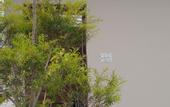 Туры в отель Yogam Homestay Agra