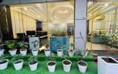 Туры в отель Hotel JMK - Managed by JMD Group