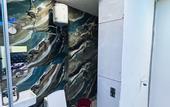 Туры в отель ICY White Varn Residency