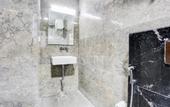 Туры в отель Hotel Greysky Medicity Gurgaon
