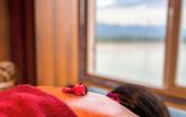Туры в отель The Neeraj Ganga Rajmahal Wellness Dream
