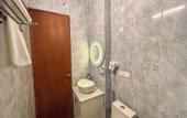 Туры в отель The Neeraj Ganga Rajmahal Wellness Dream