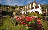 Туры в отель Villa Pane Resort
