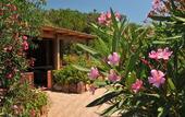 Туры в отель Torre del Porticciolo Camping Village Glamping