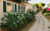 Туры в отель Torre del Porticciolo Camping Village Glamping