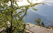 Туры в отель Miramonti Boutique Hotel