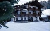 Туры в отель Hotel Auren