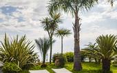Туры в отель Villa Zagara Garden