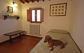 Туры в отель Hotel Tenuta Il Burchio