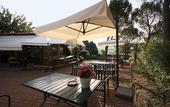 Туры в отель Hotel Tenuta Il Burchio